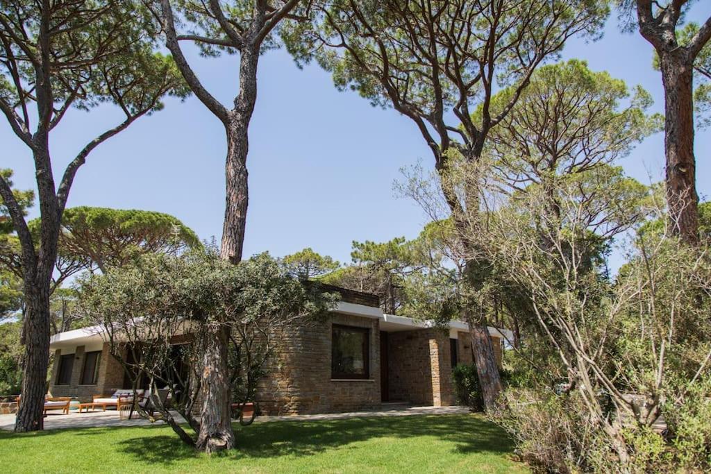 Villa Roccapini Castiglione della Pescaia Extérieur photo